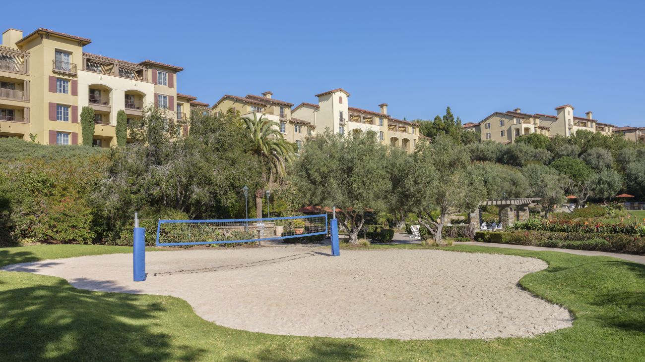 Volleyball Court